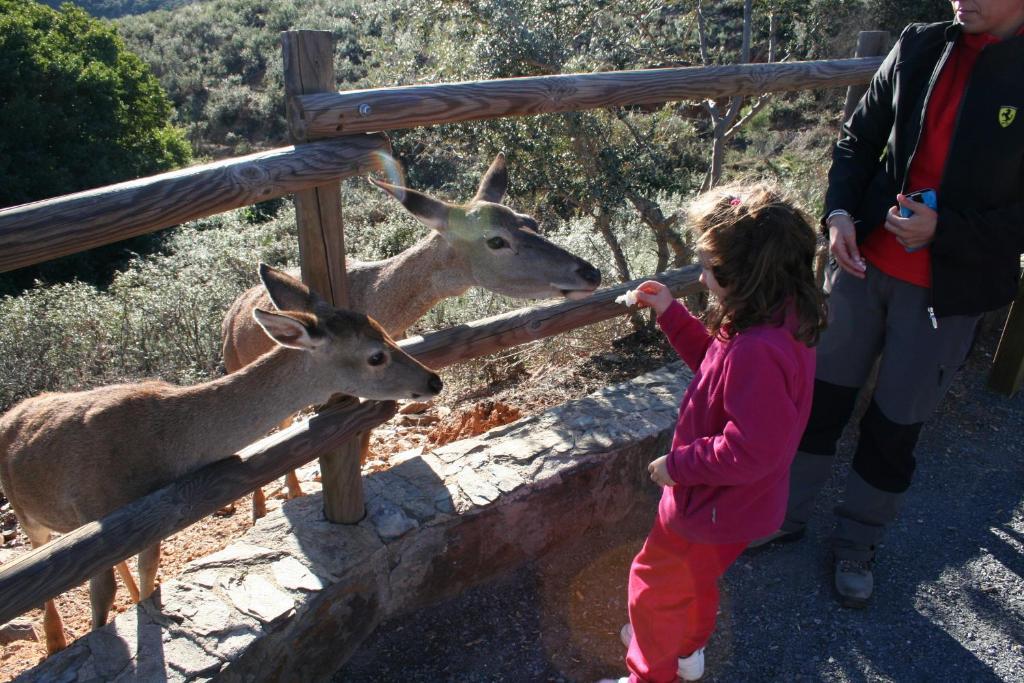 Complejo Turistico Las Canadas Casas De Campo- Actividades Gratuitas Todos Los Fines De Semana Banos De Montemayor Extérieur photo